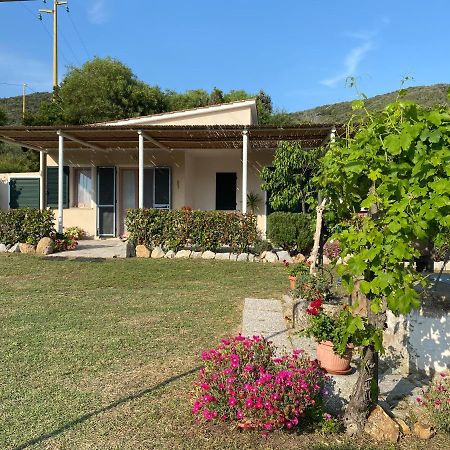 Villetta Di Rosa Проккио Экстерьер фото