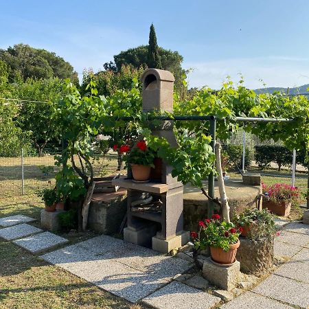 Villetta Di Rosa Проккио Экстерьер фото